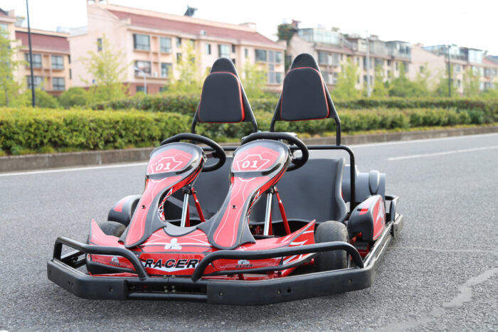 Double Seats Go Karts for Outdoor Playgrounds