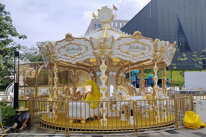 New Design 12seats merry go round