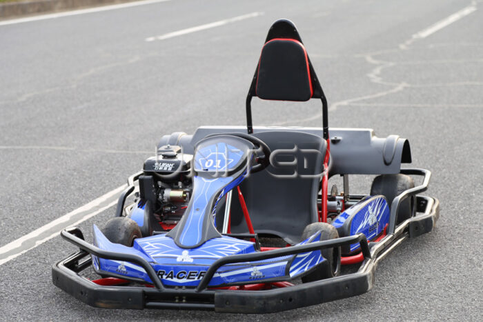 Single Seat Go Kart for Sale